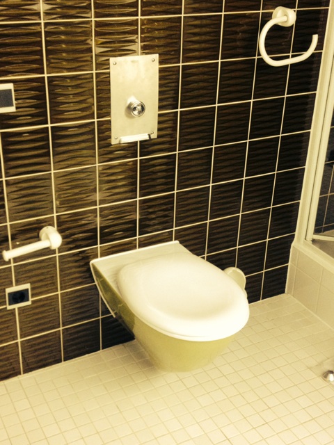 WC Sanierung